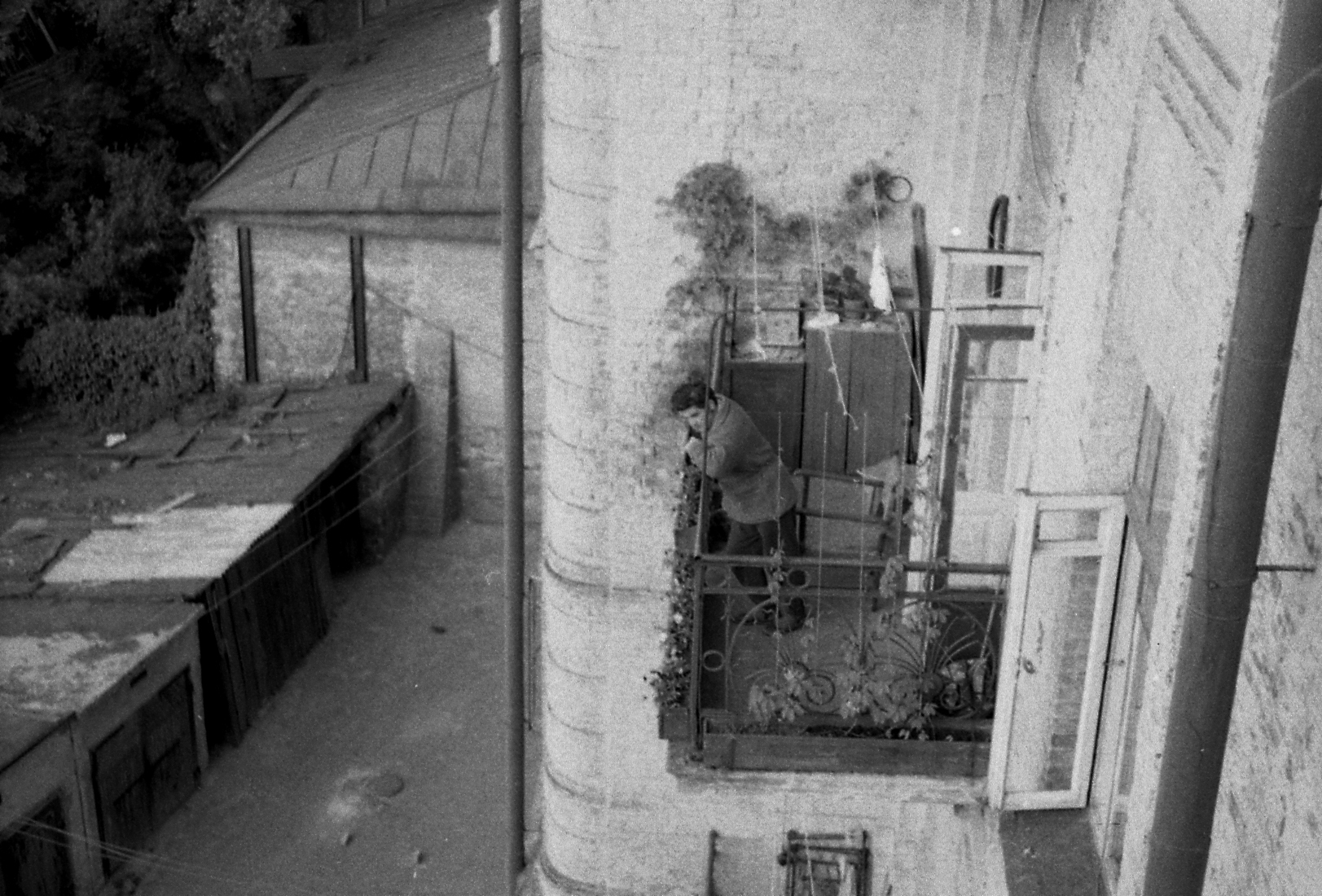 ���������� ���.