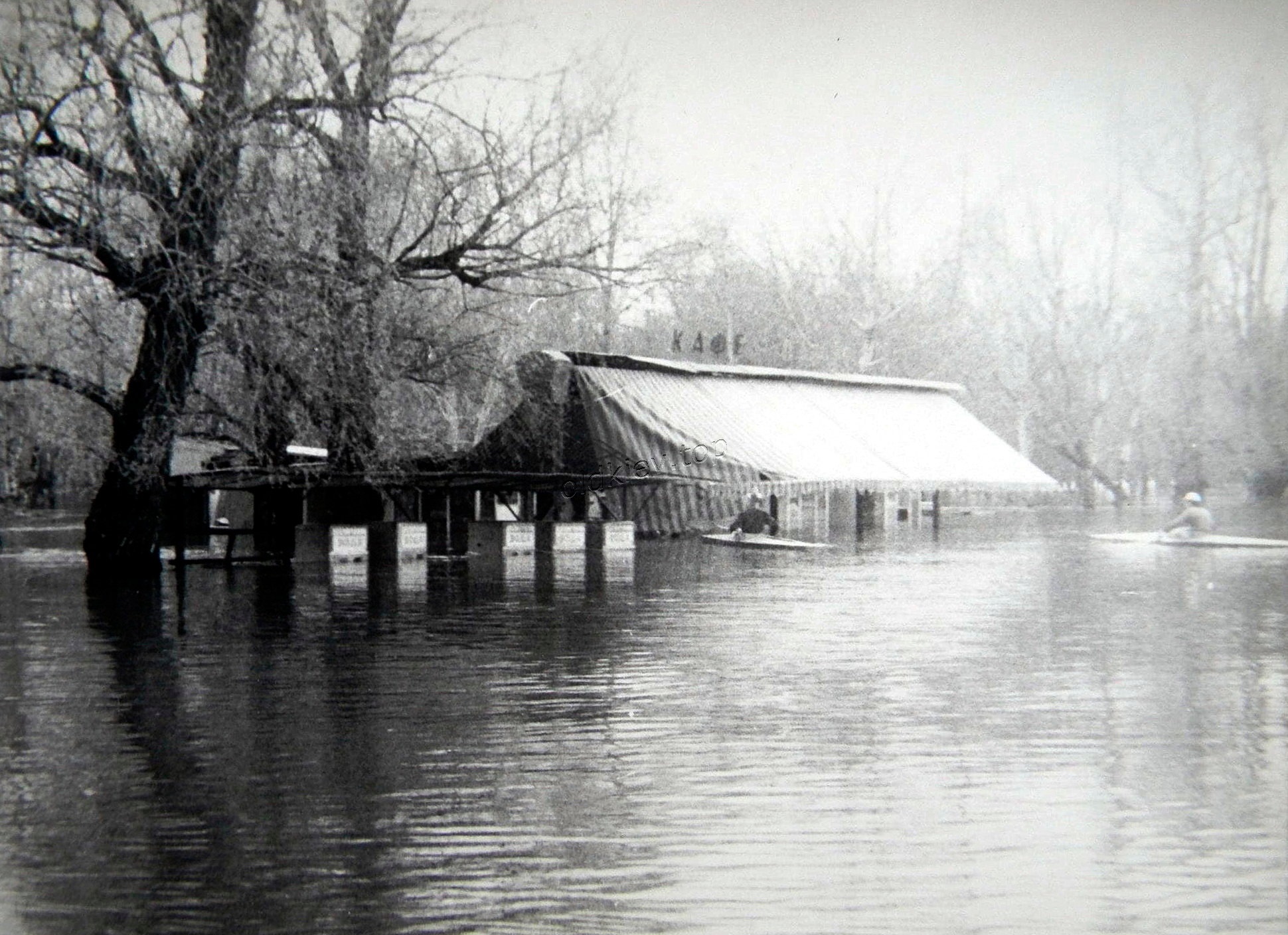 1970,
