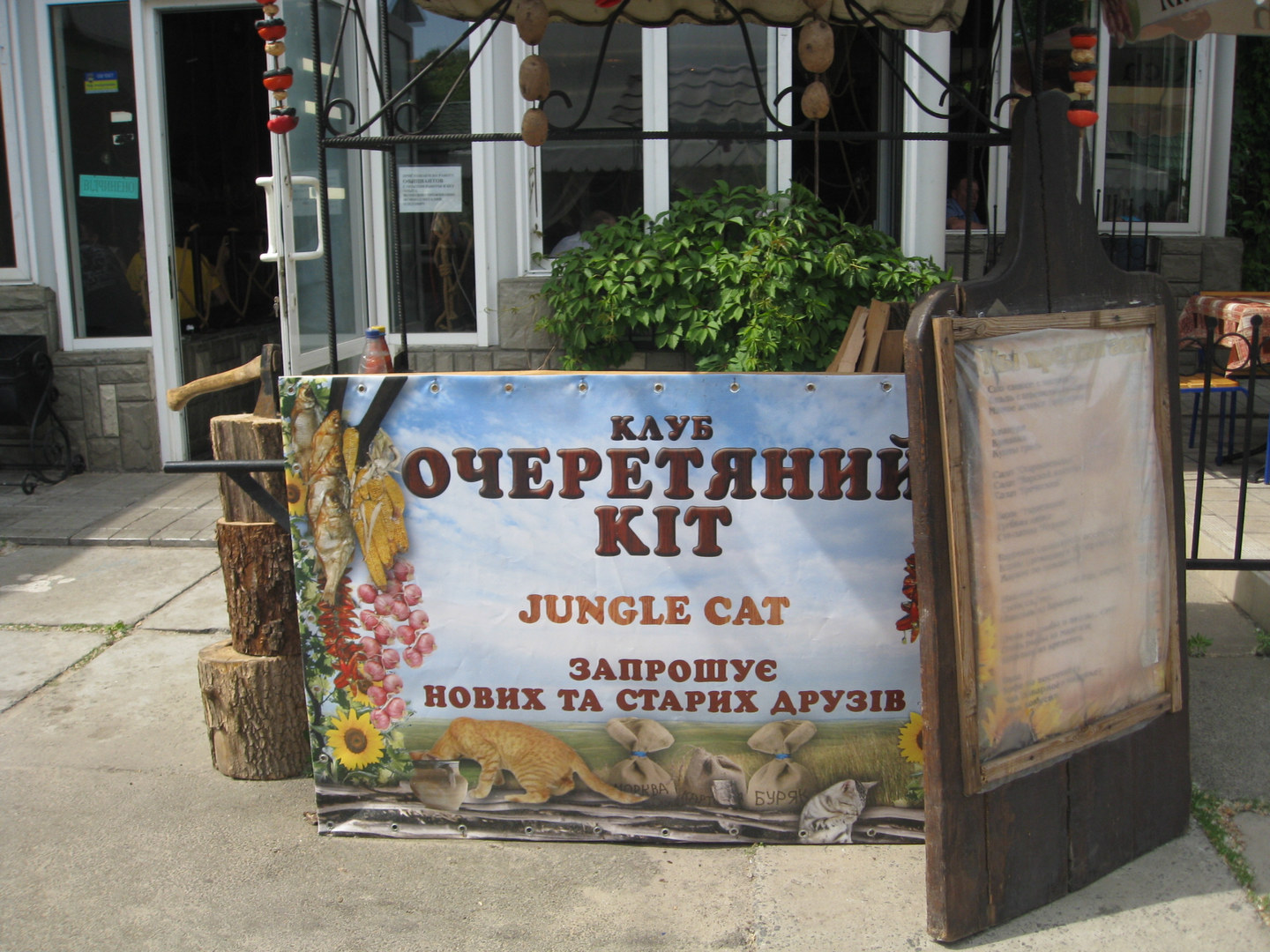 9.08.2015�. ���������