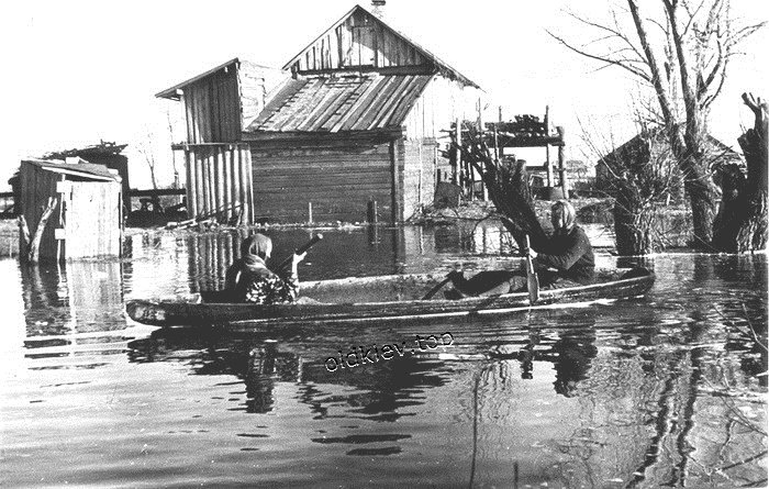 ����. ���������� � 1950-� ����